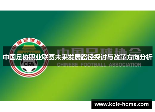 中国足协职业联赛未来发展路径探讨与改革方向分析