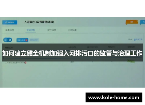 如何建立健全机制加强入河排污口的监管与治理工作