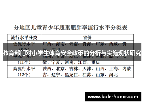 教育部门对小学生体育安全政策的分析与实施现状研究