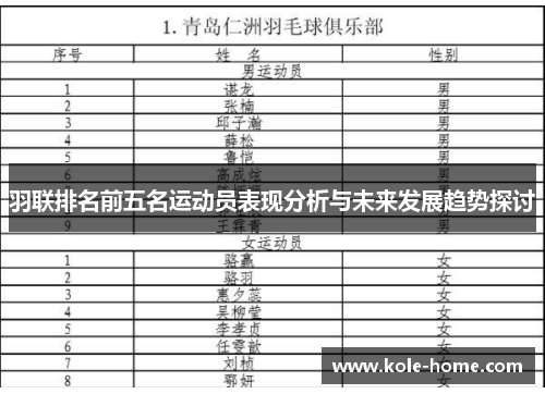 羽联排名前五名运动员表现分析与未来发展趋势探讨