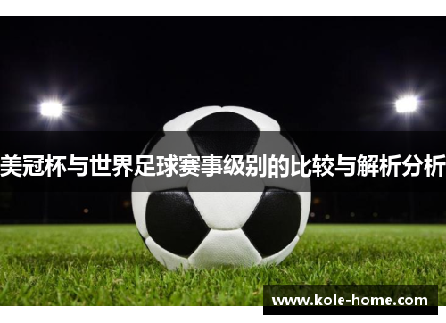 美冠杯与世界足球赛事级别的比较与解析分析